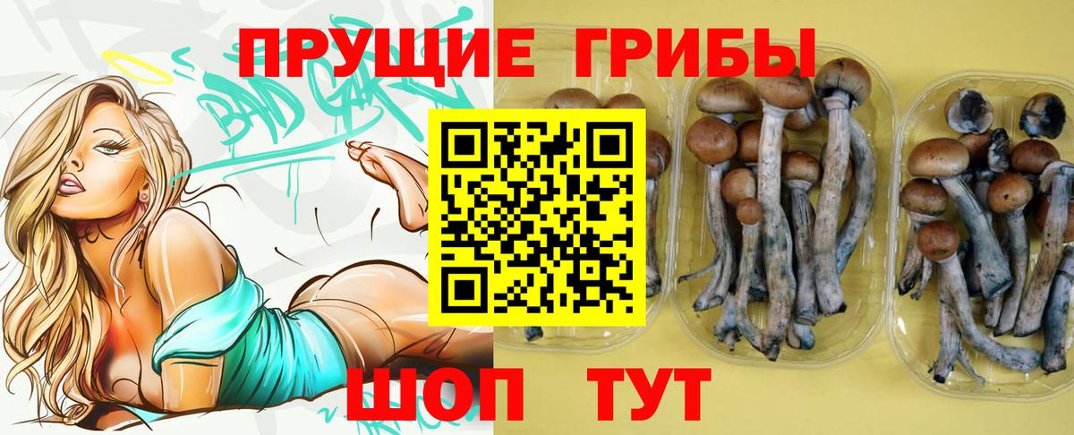 Галлюциногенные грибы Psilocybine cubensis  где можно купить   Дедовск  Вход с VPN  Псилоцибиновые грибы Psilocybe 